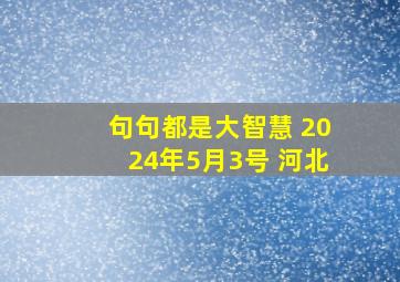 句句都是大智慧 2024年5月3号 河北